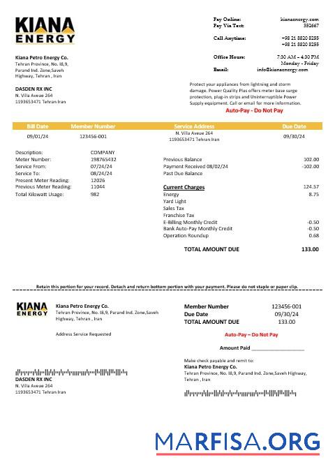 Blank Iran Kiana Petro Energy Co business utility bill template in Word and PDF format